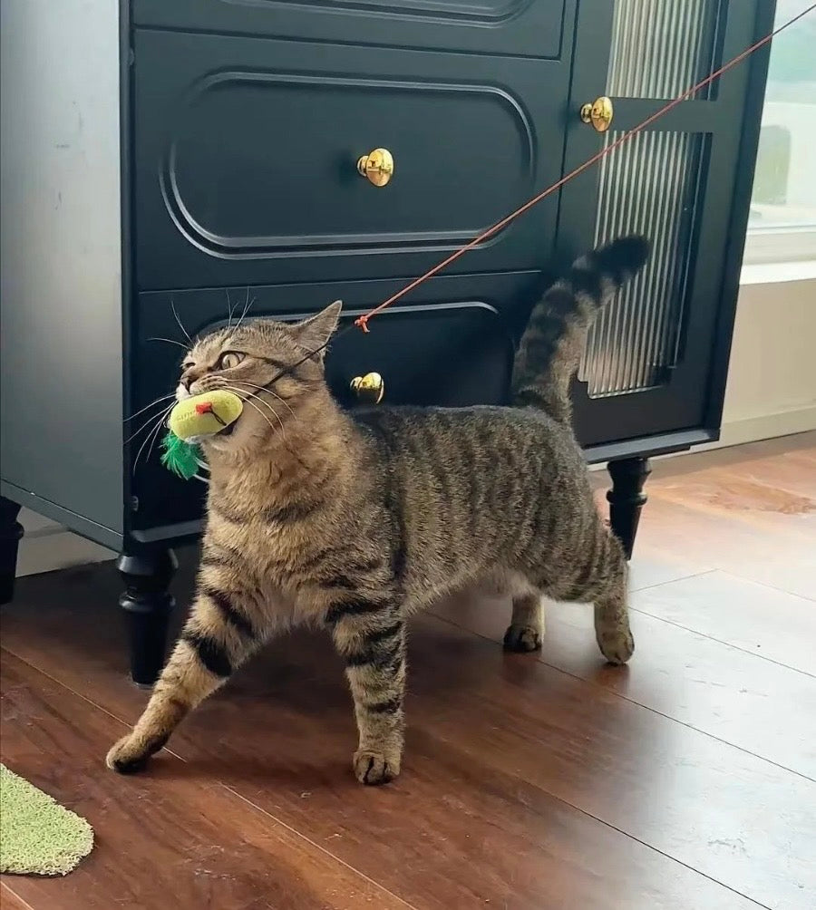 LineaPet™ –CatPlay Pro